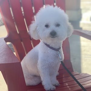 Meet your Posher, Alexandria